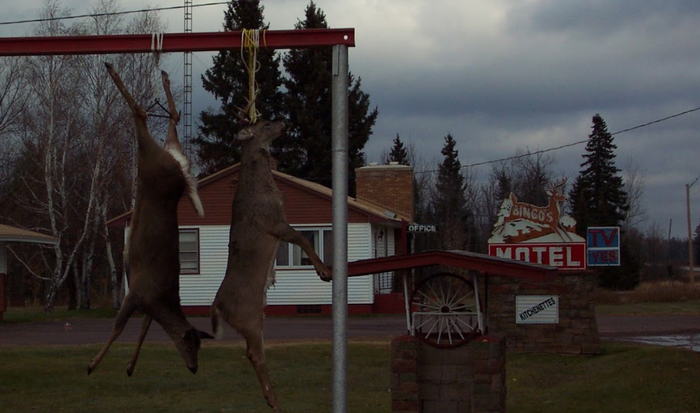 Bingos Motel - From Website (newer photo)